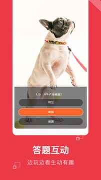 錢題app截圖3