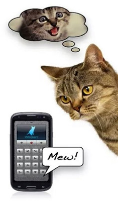 变声器人猫交流安卓版截图1