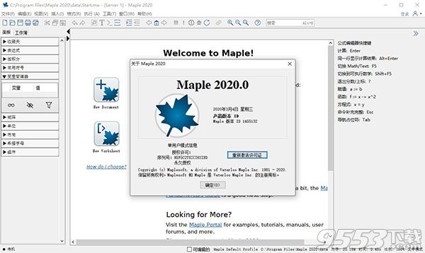 Maplesoft Maple