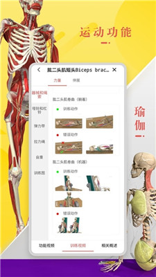 3Dbody解剖学安卓版截图1