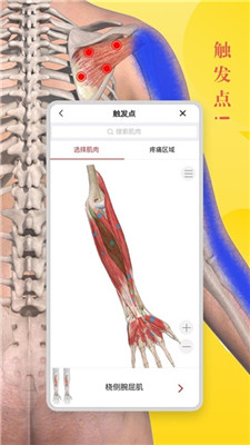 3Dbody解剖学安卓版截图3