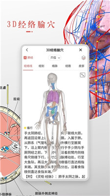 3Dbody解剖學(xué)ios版截圖2