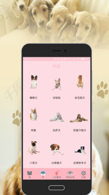 狗语猫语翻译器截图3