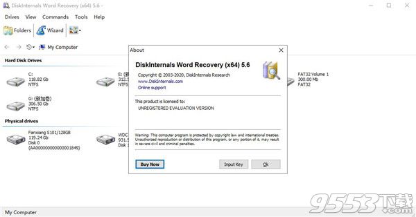 DiskInternals Word Recovery