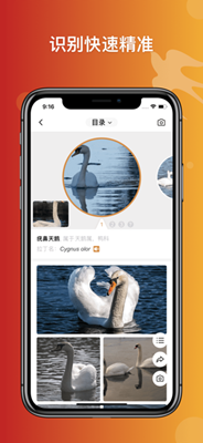 形色识鸟下载-形色识鸟app下载v1.0.0图1