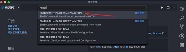 Vscode 2020 v1.46.1 中文版