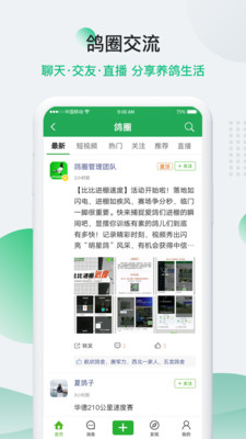 中国信鸽信息网手机版截图2