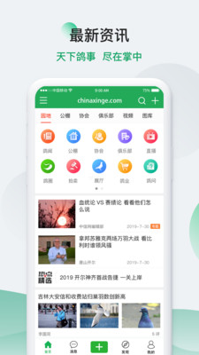 中国信鸽信息网app下载-中国信鸽信息网手机版下载v20200625图1