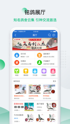 中国信鸽信息网手机版截图3