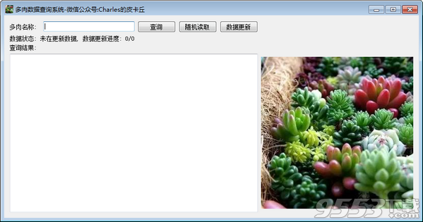 多肉數(shù)據(jù)查詢系統(tǒng)