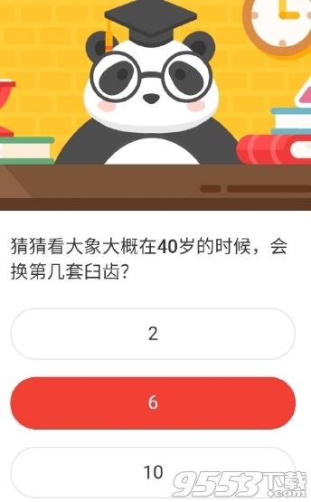 大象大概在40歲的時候會換第幾套臼齒 森林驛站2020年10月15日森林小課堂答案