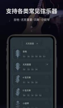 吉他专业调音器软件截图1