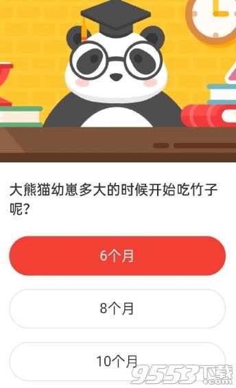 大熊猫幼崽多大开始吃竹子  森林驿站11月5日答案
