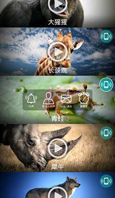 动物铃声app下载-动物铃声免费版下载v4.1图1