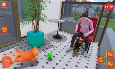 沙雕猫模拟器下载-沙雕猫模拟器游戏下载v1.0.1图2