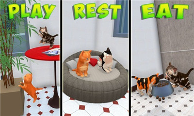 沙雕猫模拟器游戏