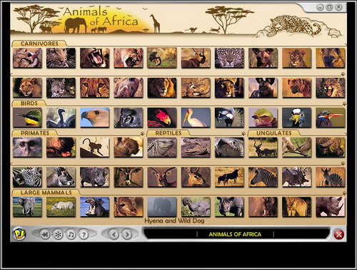 非洲动物拼图 1.0