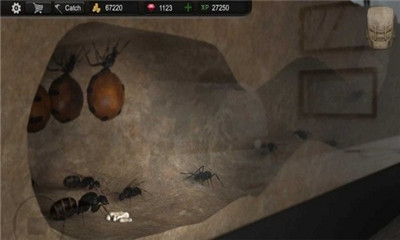 模拟蚂蚁大亨手游下载-模拟蚂蚁大亨安卓版下载v1.4.2图2