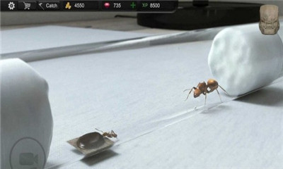 模拟蚂蚁大亨手游下载-模拟蚂蚁大亨安卓版下载v1.4.2图3