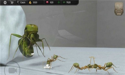 模拟蚂蚁大亨安卓版