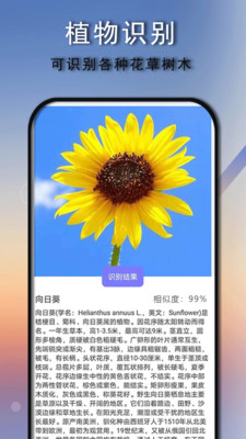 拍照识别免费版app截图1