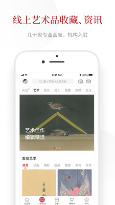 一條app官方版截圖1