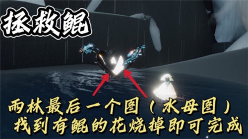 光遇2021年11.29任务怎么做 光遇2021年11月29日每日任务攻略