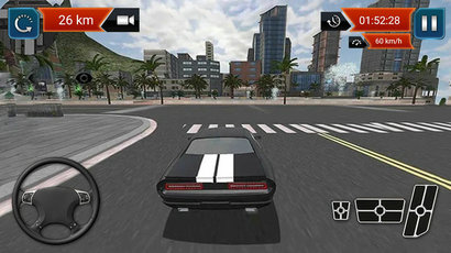 赛车3D模拟手机版截图4