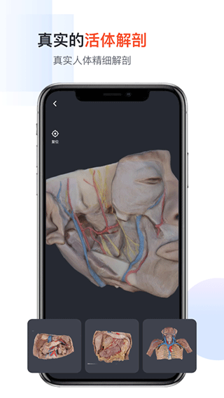 口袋人体解剖最新版免费版截图1