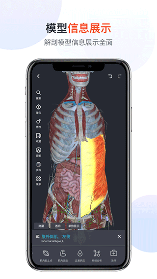 口袋人體解剖最新版免費版截圖4