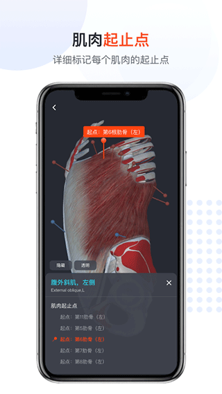 口袋人體解剖最新版免費版截圖3