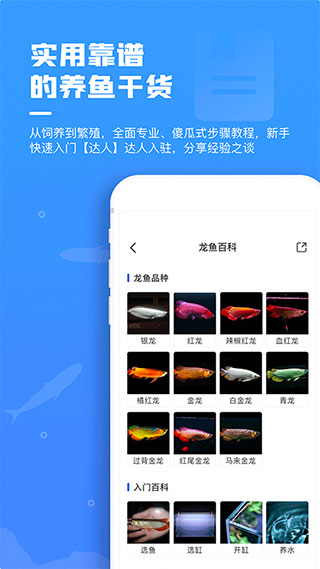 鲲天下app截图2