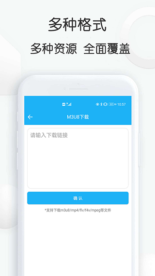 云雀idm网页视频下载器最新版截图1