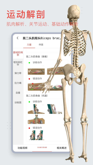 3Dbody解剖2023最新版本下载-3Dbody解剖安卓正版下载v8.7.40图3