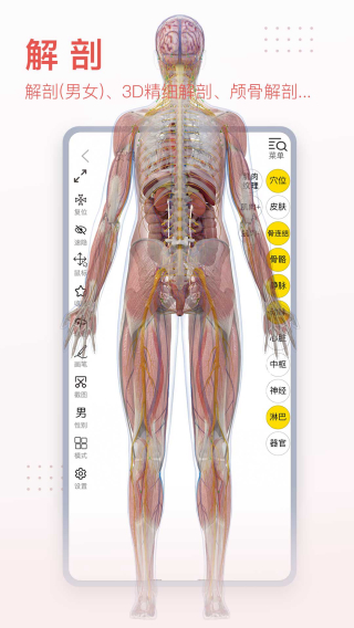 3Dbody解剖安卓正版截圖2