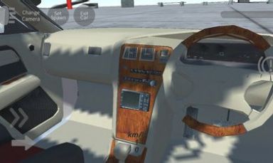 辛迪汽车驾驶模拟游戏截图3