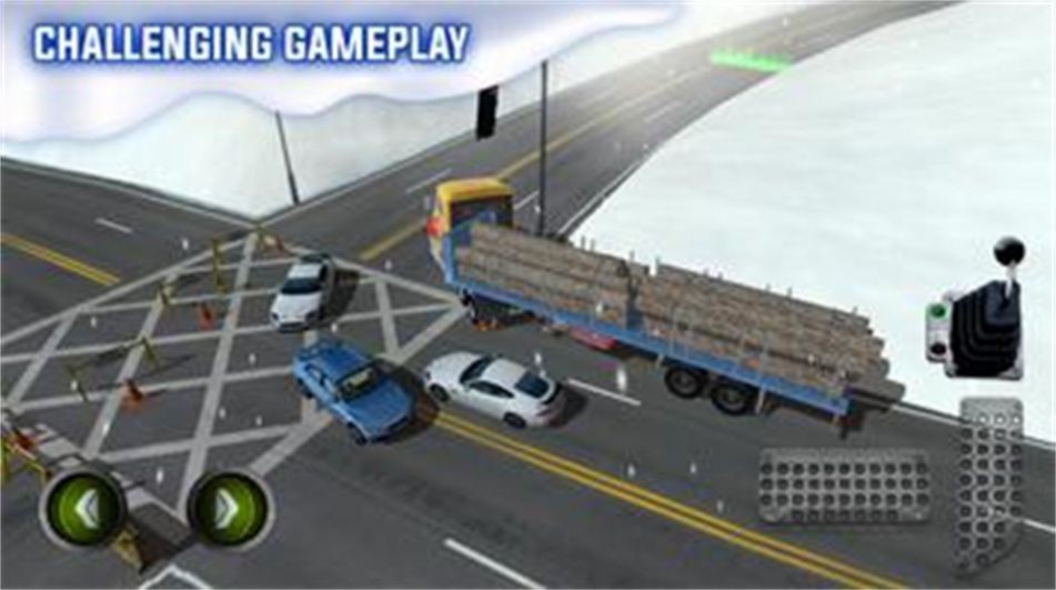 冰路卡车停车模拟游戏截图3