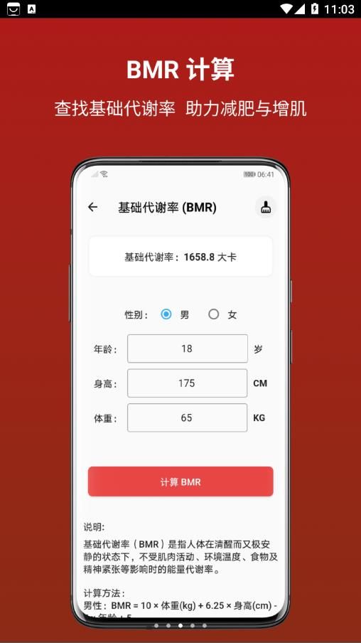 运动健康计算器安卓版截图2