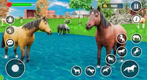 虚拟野马动物模拟器(Wild Horse Family Life Game)截图3