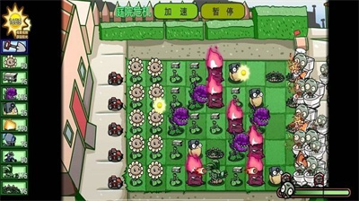 植物僵尸大对决游戏下载-植物僵尸大对决下载v1.00图2