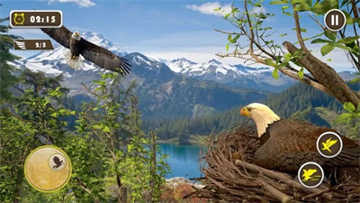 宠物美国鹰生活模拟3D苹果版游戏下载-宠物美国鹰生活模拟3D中文版下载v1.0图4
