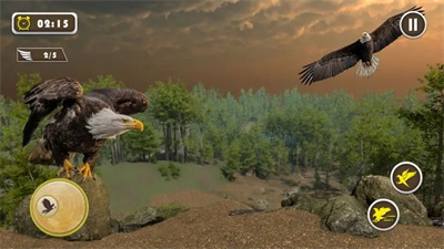 宠物美国鹰生活模拟3D苹果版游戏下载-宠物美国鹰生活模拟3D中文版下载v1.0图3