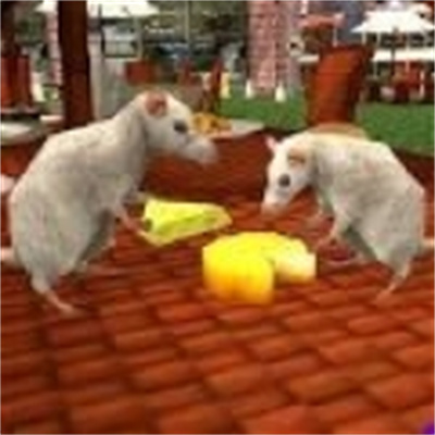 流浪鼠家庭模拟器游戏