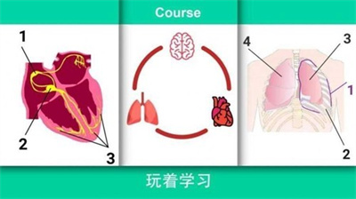 真实医疗模拟器游戏