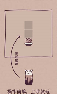 格子猫手机版截图2