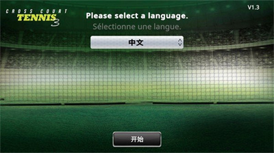 跨界网球3完整版游戏下载-跨界网球3安卓版下载v1.3图3