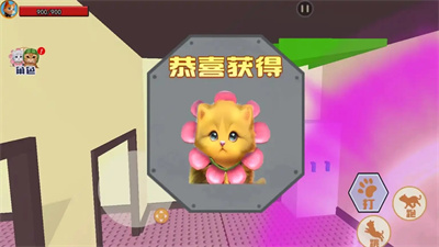 萌猫公园挑战截图2