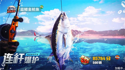 野外釣魚大師官方版截圖4