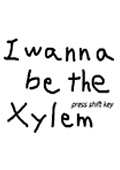 i wanna be the xylem