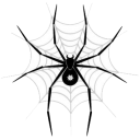 1799蜘蛛池软件 V1.0 绿色版